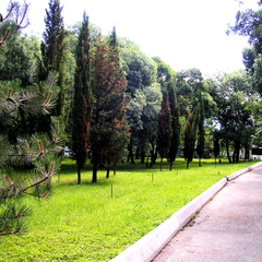 Пансионат Глория, Геленджик, Краснодарский край