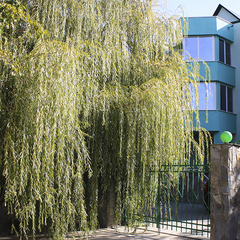 Отель Изумрудный, Кабардинка, Краснодарский край