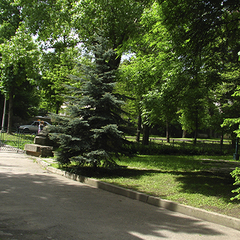 Санаторий им. Павлова, Ессентуки, Ставропольский край