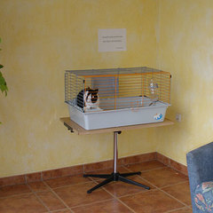 Отель Абзаково Бунгало Club , Абзаково, Республика Башкортостан