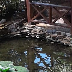 Пансионат Ай-Тодор-Юг, Гаспра, Крым