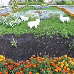 Санаторий Светлый, Тюменская область