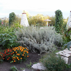 Санаторий Светлый, Тюменская область