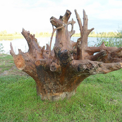 Санаторий Светлый, Тюменская область