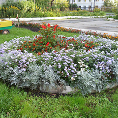 Санаторий Светлый, Тюменская область