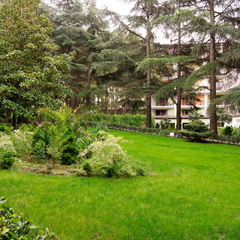 Отель Porto Mare, Алушта, Крым