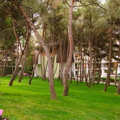 Отель Porto Mare, Алушта, Крым