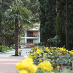 Отель Porto Mare, Алушта, Крым