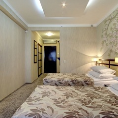 Гостиница Измайлово Альфа, Москва, Московская область