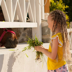 Отель Porto Mare, Алушта, Крым