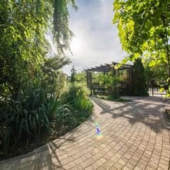 Отель Оливия, Анапа, Краснодарский край