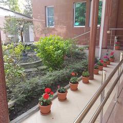 Гостиница Алая Роза, Дагомыс, Краснодарский край