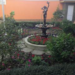 Гостиница Алая Роза, Дагомыс, Краснодарский край