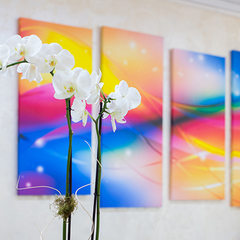 Отель Радужный, Сочи, Краснодарский край