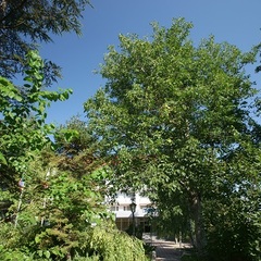 Гостиница Таврия, Симферополь, Крым