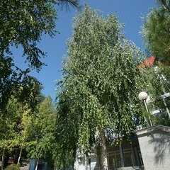 Гостиница Таврия, Симферополь, Крым