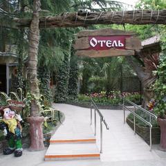 Отель Олеся, Адлер, Краснодарский край