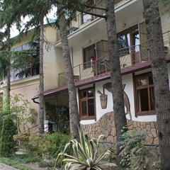 Отель Олеся, Адлер, Краснодарский край