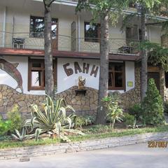 Отель Олеся, Адлер, Краснодарский край