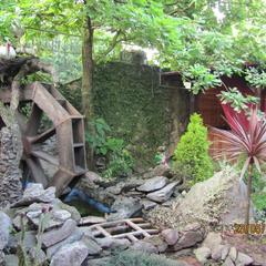 Отель Олеся, Адлер, Краснодарский край