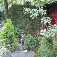 Отель Олеся, Адлер, Краснодарский край