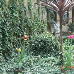 Отель Олеся, Адлер, Краснодарский край