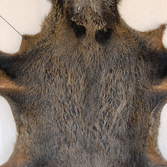 Отель Альпийский двор, Красная Поляна (бывш. Горки Город), Краснодарский край