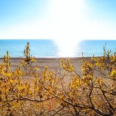 Отель Русский дом Дивный (бывш. Мосэнерго), Лоо, Краснодарский край