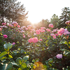 Пансионат Южный, Николаевка, Крым