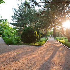 Пансионат Южный, Николаевка, Крым