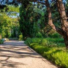 Пансионат Южный, Николаевка, Крым