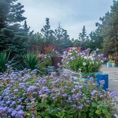 Пансионат Южный, Николаевка, Крым