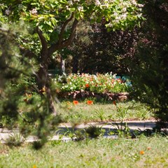 Пансионат Южный, Николаевка, Крым