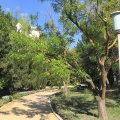 Пансионат Южный, Николаевка, Крым