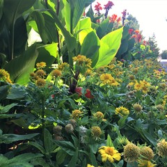 Пансионат Южный, Николаевка, Крым