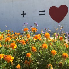 Пансионат Южный, Николаевка, Крым