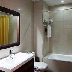 Отель Солнечный Park Hotel&SPA 4*, Солнечногорск, Московская область