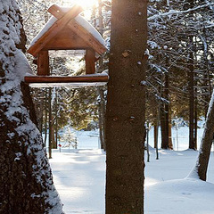 Отель Солнечный Park Hotel&SPA 4*, Солнечногорск, Московская область