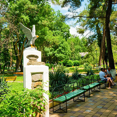 Пансионат Энергетик, Дивноморское, Краснодарский край