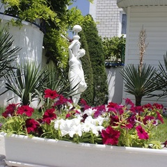 Отель Дуэт, Анапа, Краснодарский край