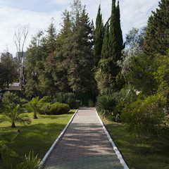 Комплекс отдыха Морская звезда, Сочи, Краснодарский край