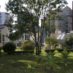 Комплекс отдыха Морская звезда, Сочи, Краснодарский край