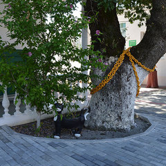 Отель Дубравушка, Криница, Краснодарский край