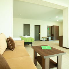 Отель Экодом Сочи, Сочи, Краснодарский край