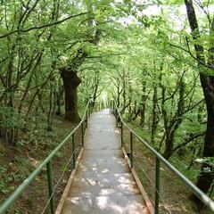 Отель Дубравушка, Криница, Краснодарский край