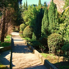 Отель Ripario Hotel Group, Отрадное, Крым