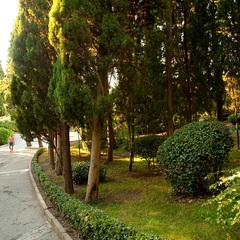 Отель Ripario Hotel Group, Отрадное, Крым