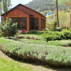 Пансионат Джанхот, Геленджик, Краснодарский край