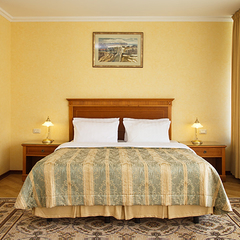 Санаторий Отрадное МЕДСИ, Московская область