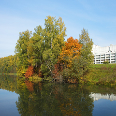 Санаторий Отрадное МЕДСИ, Московская область